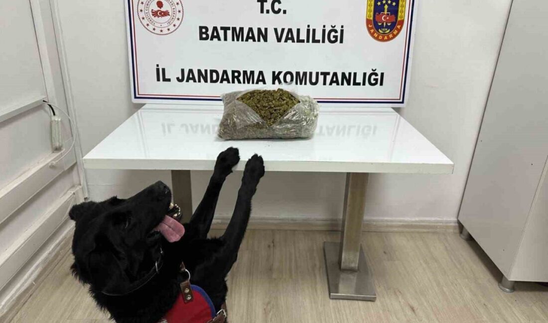 Batman’da yol kontrol uygulamasında 1 kilo 452 gram skunk maddesi