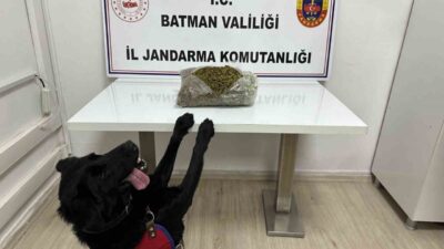 Batman’da yol kontrol uygulamasında 1 kilo 452 gram skunk maddesi