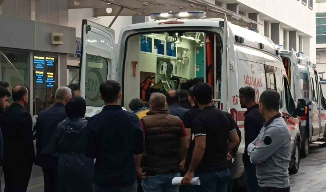Batman’ın Beşiri ilçesinde yıldırımı isabet etmesi sonucu ağır yaralanan çoban