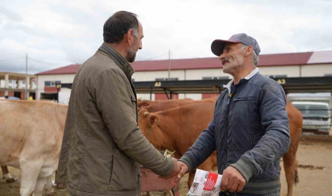 Kurban Bayramı arifesinde Bayburt Canlı Hayvan Pazarı’nda hareketlilik sürerken, büyükbaş