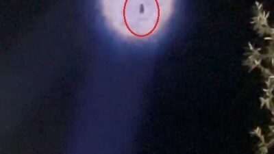 Bayburt’ta akşam saatlerinde yürüyüş yapan iki arkadaş, anne ayı ve