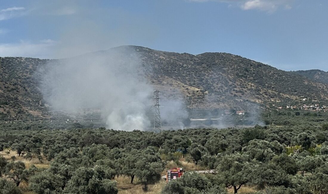 İzmir’in Bayındır ilçesine bağlı Demircilik Mahallesi’nde bulunan zeytinlik alanda yangın