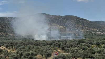 İzmir’in Bayındır ilçesine bağlı Demircilik Mahallesi’nde bulunan zeytinlik alanda yangın