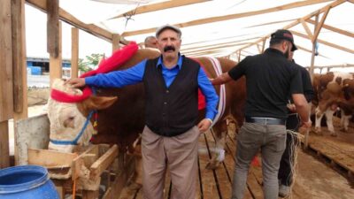 İstanbul’da yaklaşan Kurban Bayramı öncesinde kurban pazarlarında hareketlilik sürerken, Ataşehir