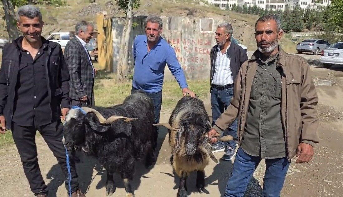 Diyarbakır’ın Çermik ilçesinde arefe günü kurbanlık hayvanlara ilgi arttı. Son