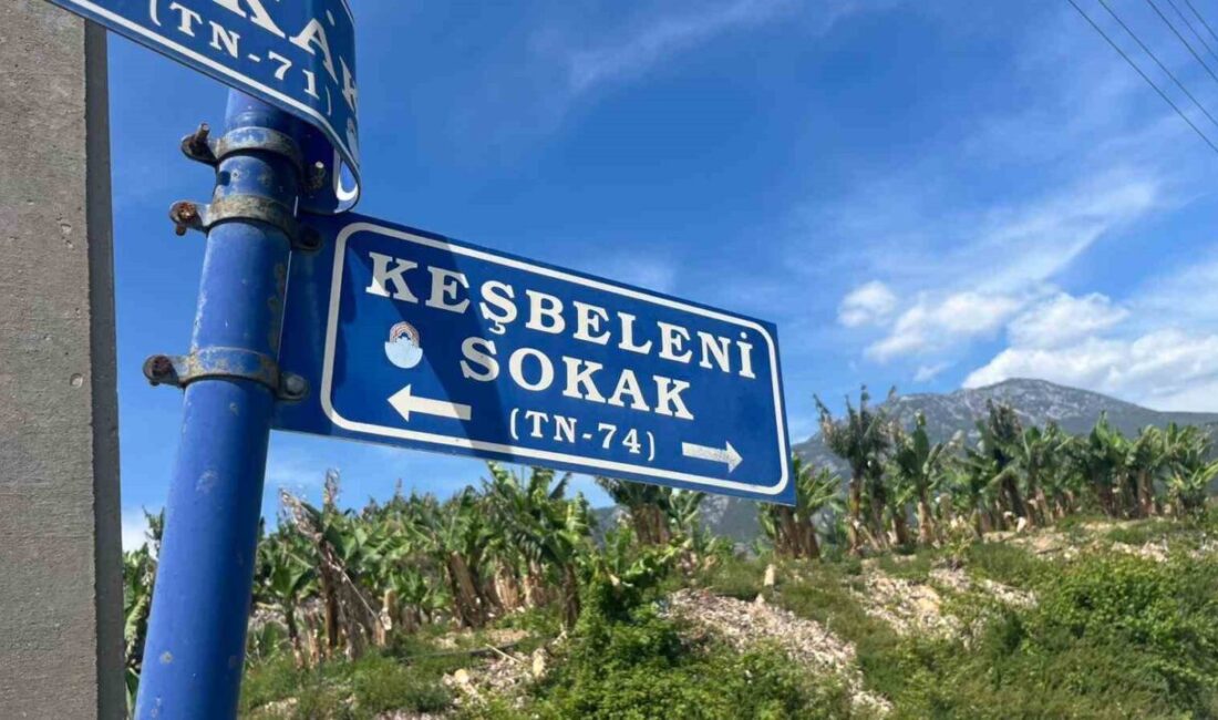 Antalya’nın Alanya ilçesinde belediye temizlik işlerinde görevli iki personel, çöp