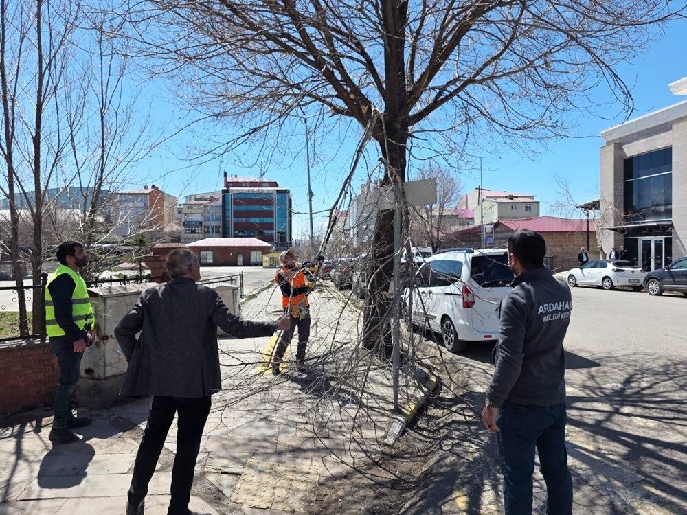 Ardahan Belediyesi, mevsimsel bakım çalışmaları kapsamında ağaç budama işlemlerine hız