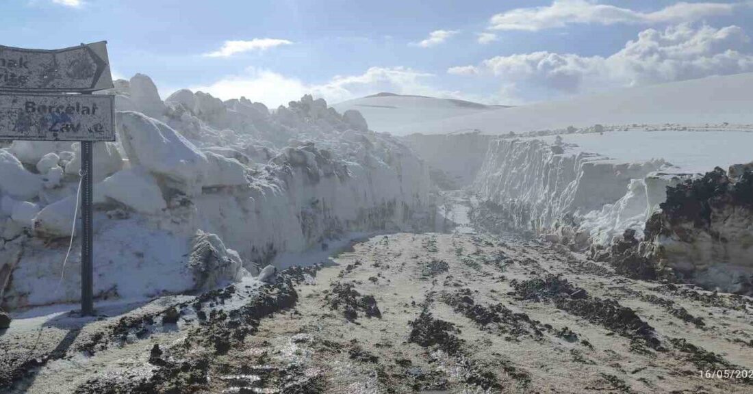 Hakkari’nin 3 bin 500 rakımlı Berçelan Yaylası’nda mayıs ayına rağmen