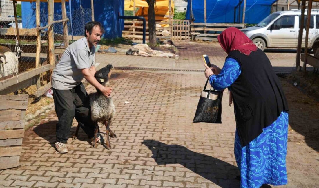 Samsun’da besicilerin Kurban Bayramı mesaisi ikinci günde de devam ediyor.