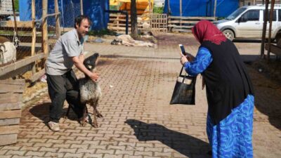 Samsun’da besicilerin Kurban Bayramı mesaisi ikinci günde de devam ediyor.