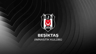 Beşiktaş Kulübü, Futbol A Takımının yeni teknik direktörü hakkında basında