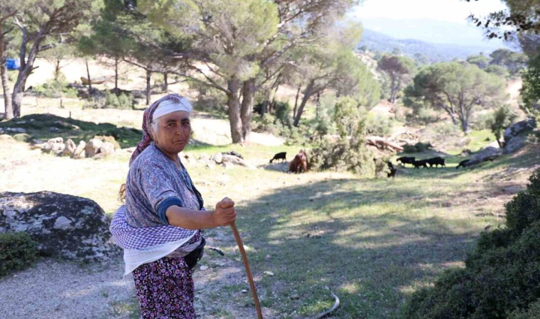 Türkiye’de gençlerin tarımdan ve kırsal yaşamdan hızla uzaklaşması ile birlikte