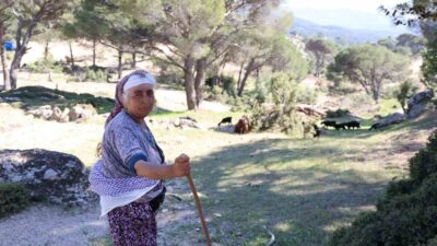 Türkiye’de gençlerin tarımdan ve kırsal yaşamdan hızla uzaklaşması ile birlikte
