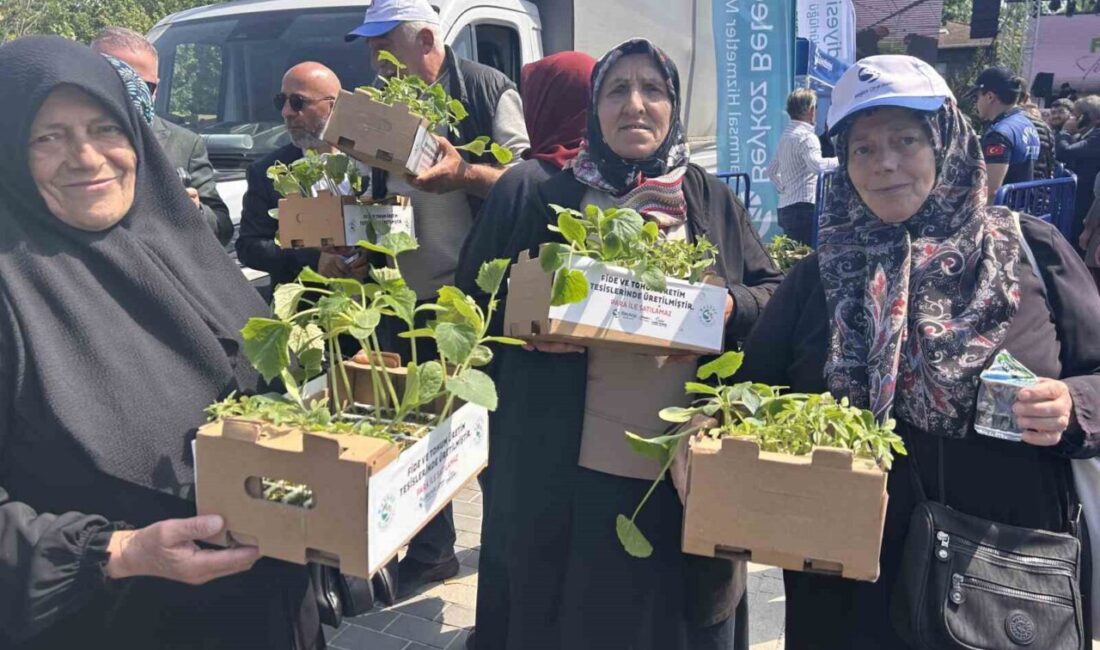Beykoz Belediyesi tarafından gerçekleştirilecek olan 2026 Yazlık Fide Dağıtımı kapsamında