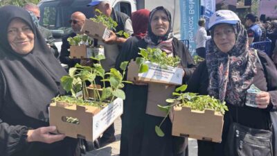 Beykoz Belediyesi tarafından gerçekleştirilecek olan 2026 Yazlık Fide Dağıtımı kapsamında