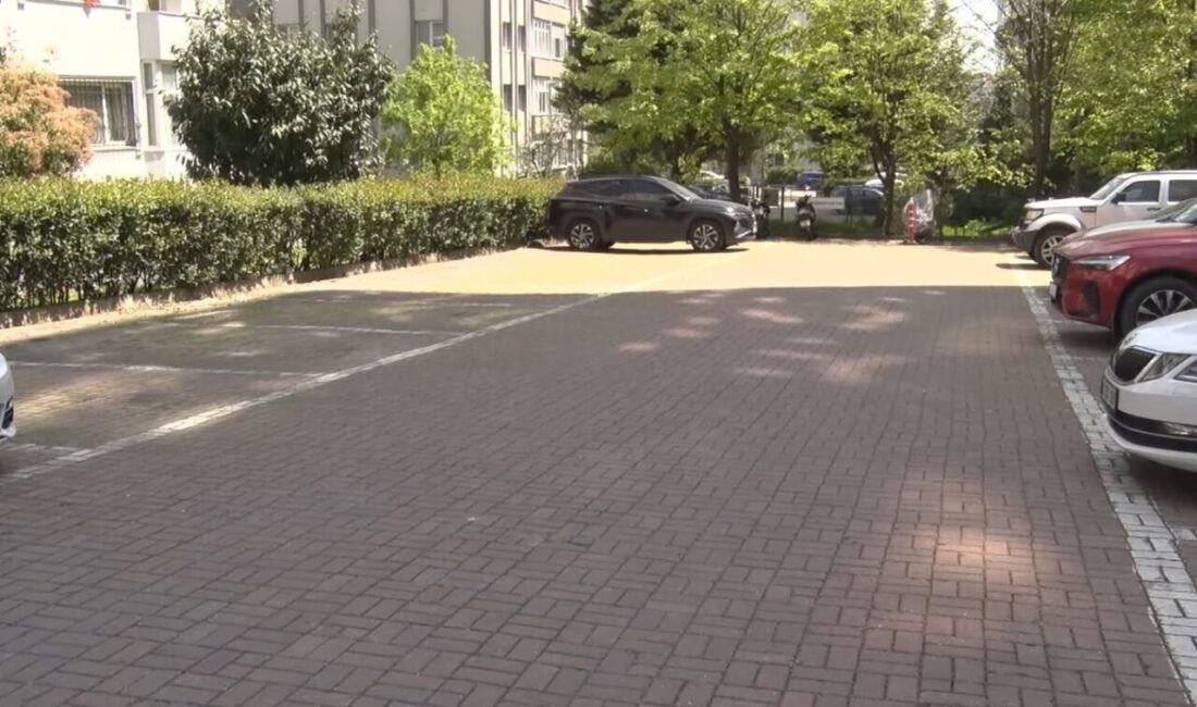Beylikdüzü’nde sokak köpeklerinin saldırısına uğrayan vatandaşın o anları güvenlik kamerasına