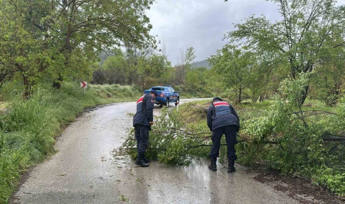 Bilecik’te aşırı yağış nedeniyle ulaşımda aksamalar meydana geliyor. Bilecik’te gece