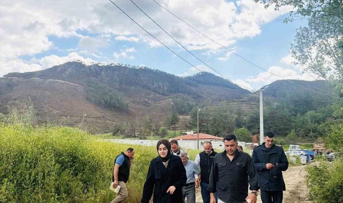 Bilecik’in Gölpazarı ilçesinde büyük yangın sonrası yaralar sarılıyor. Gölpazarı ilçesine