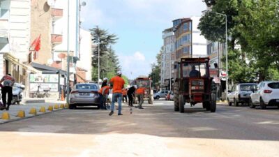 Bilecik’in Söğüt ilçesinde çim biçme ve ilaçlama çalışmaları hız kazandı.