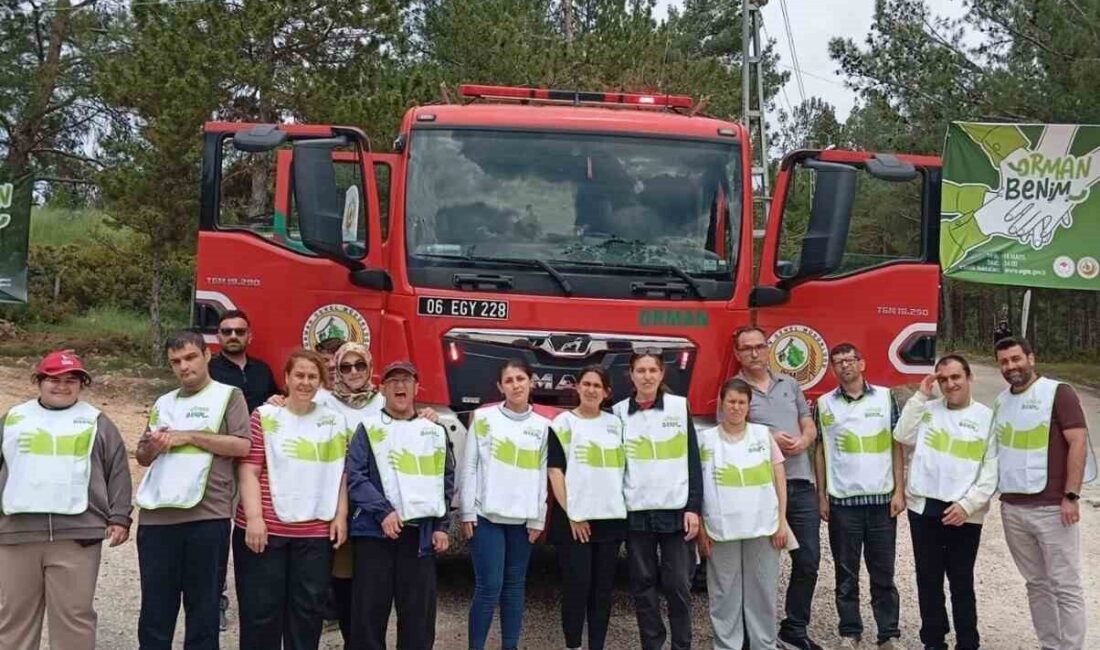 Bilecik’te ‘Orman Benim’ etkinliği kapsamında gençler çöp toplayarak doğaya nefes