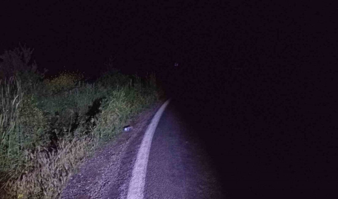 Bilecik’in Osmaneli ilçesinde meydana gelen trafik kazasında bir kişi yaralandı.