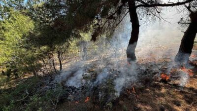 Bilecik’in Osmaneli ilçesinde ormanlık alanda yangın çıktı. Edinilen bilgilere göre,