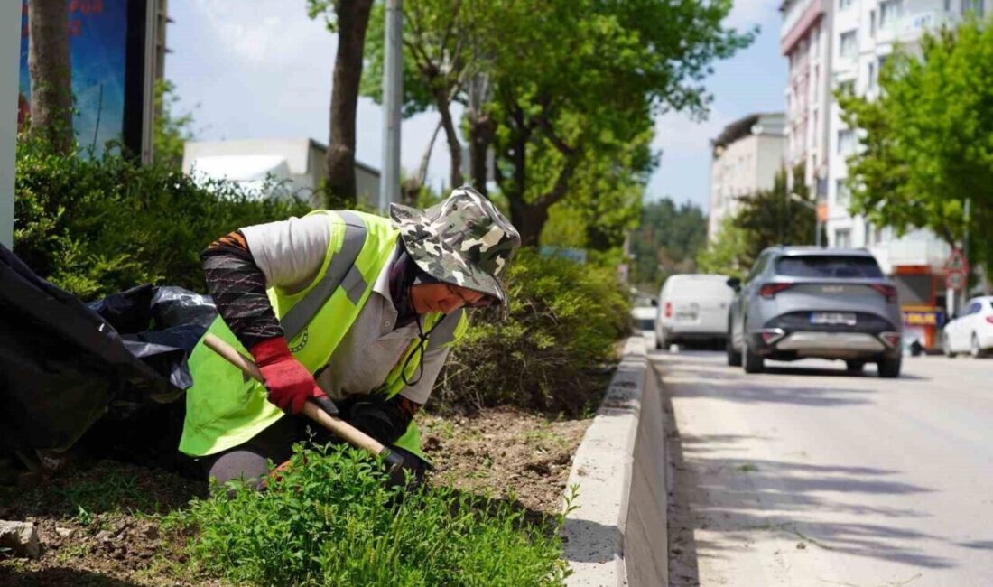 Bilecik Belediyesi Park ve Bahçeler Müdürlüğü ekipleri tarafından şehrin birçok