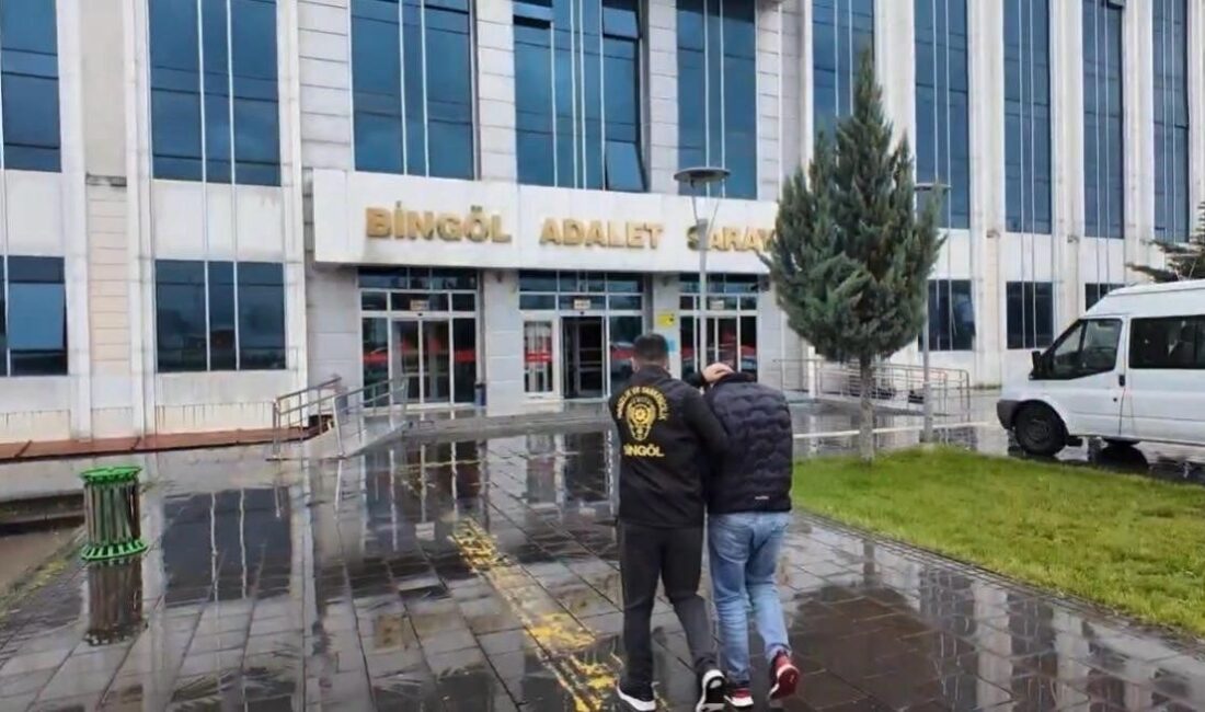 Bingöl merkezli İstanbul, Mersin ve Kocaeli illerinde düzenlenen nitelikli dolandırıcılık