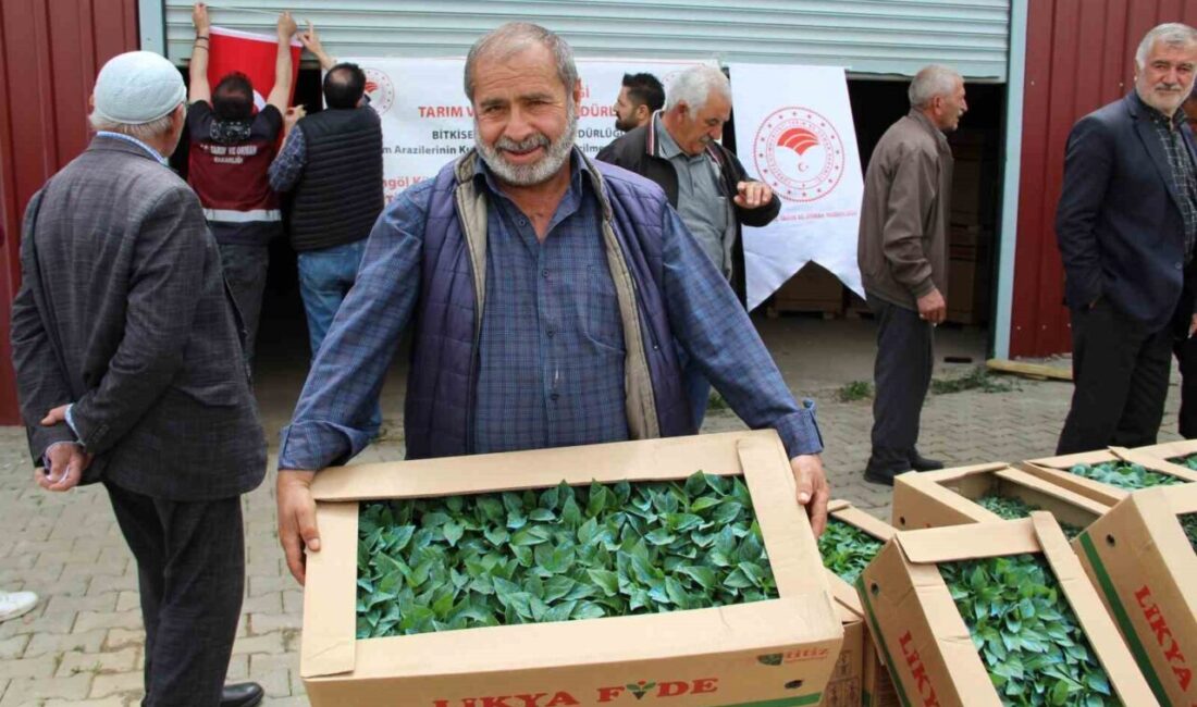 Bingöl’de 570 üreticiye 330 bin sebze fidesi dağıtıldı. Tarım ve