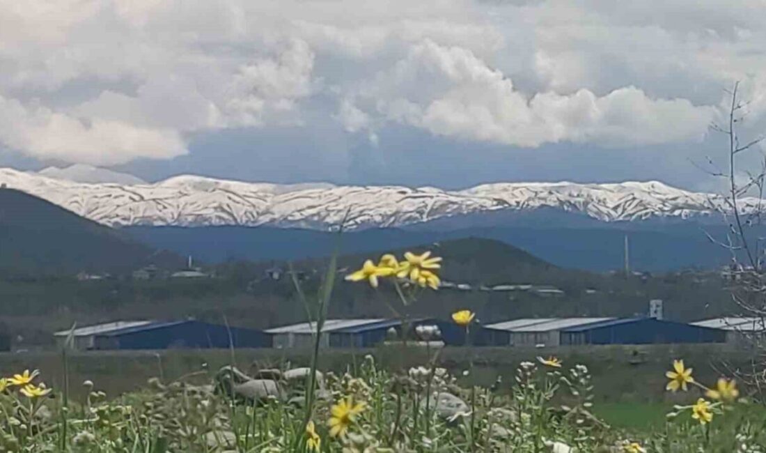 Bingöl’de baharın etkisi kent genelinde hissedilmeye başlanırken, yüksek rakımlı bölgelerde