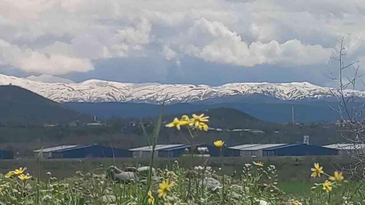 Bingöl’de baharın etkisi kent genelinde hissedilmeye başlanırken, yüksek rakımlı bölgelerde