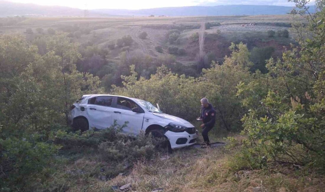 Bingöl’de otomobilin şarampole yuvarlanması sonucu meydana gelen trafik kazasında 5