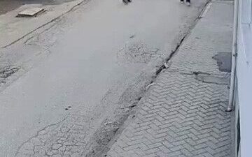 Eskişehir’de bir anda koşup havlayan köpeğin korkuttuğu küçük çocuğun panikle