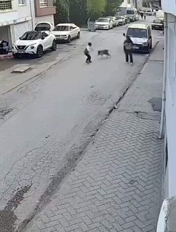Eskişehir’de bir anda koşup havlayan köpeğin korkuttuğu küçük çocuğun panikle