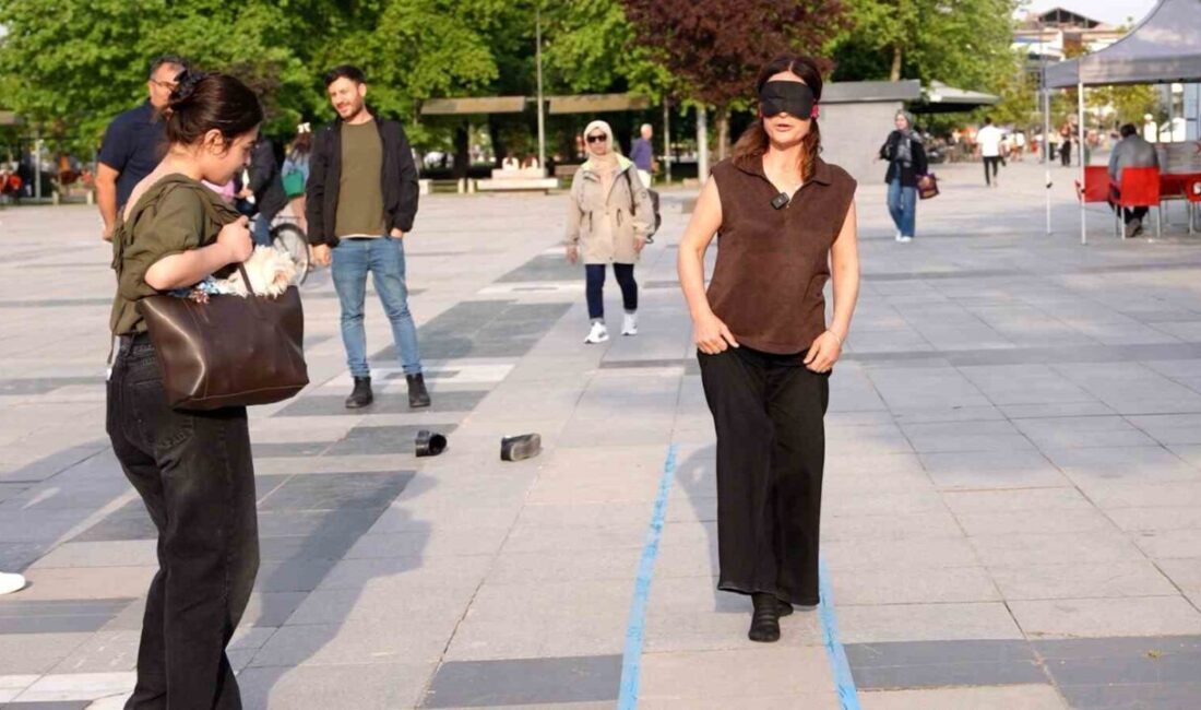 Düzce’de Engelliler Haftası dolayısıyla düzenlenen etkinlikte, işaret diliyle adres sorulan