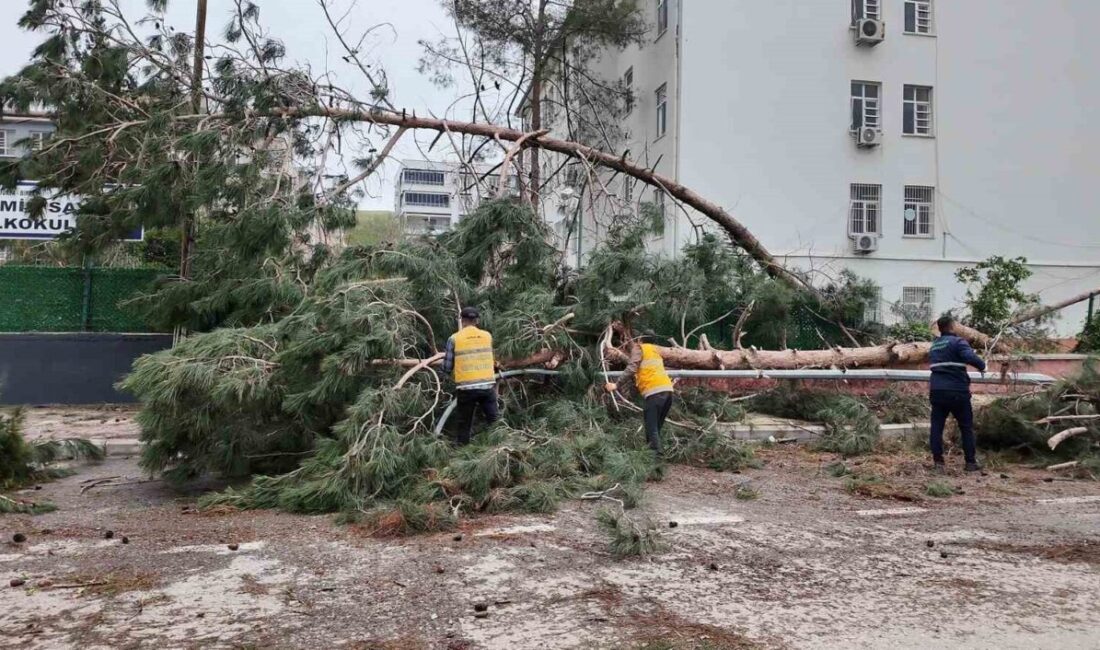 Birecik’te şiddetli yağış ve fırtınanın ardından yaşanan olumsuzlukları gidermek için