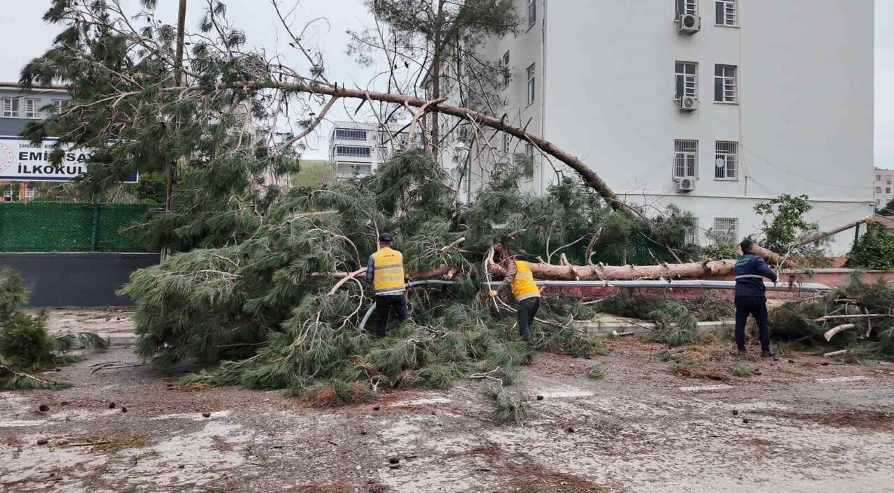 Birecik’te şiddetli yağış ve fırtınanın ardından yaşanan olumsuzlukları gidermek için