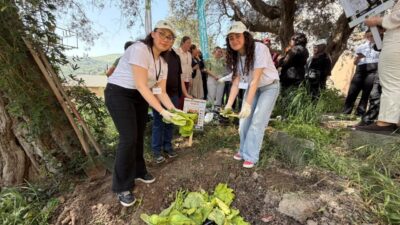 Kocaeli Üniversitesi öğrencileri, düzenlenen uygulamalı eğitimde biyobozunur atıkların komposta dönüştürülme