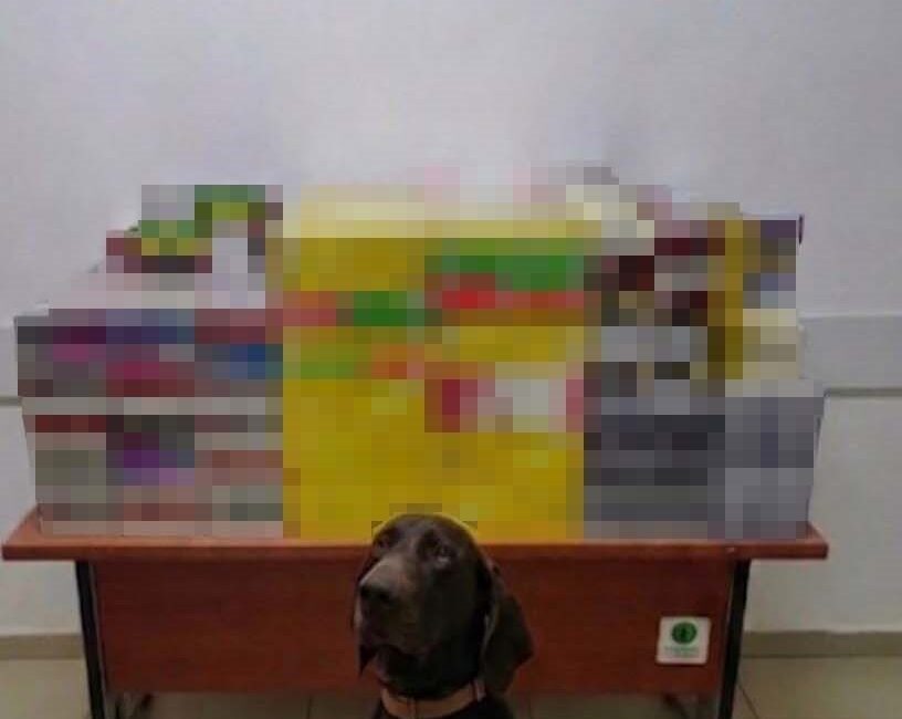 Bolu’da jandarma ekipleri tarafından düzenlenen operasyonda, 12 bin 500 adet