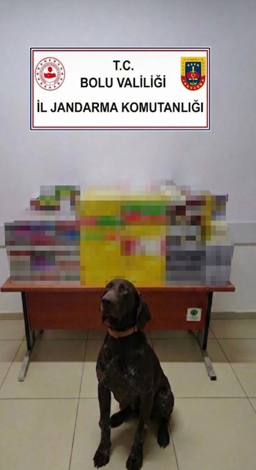 Bolu’da jandarma ekipleri tarafından düzenlenen operasyonda, 12 bin 500 adet