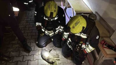 Bolu’da bir apartman dairesinde çıkan yangın, itfaiye ekiplerinin müdahalesiyle söndürüldü.
