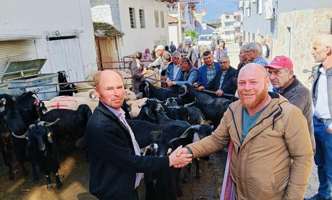 Aydın’ın Bozdoğan ilçesine bağlı Yazıkent Mahallesi’nde Kurban Bayramı öncesi kurulan
