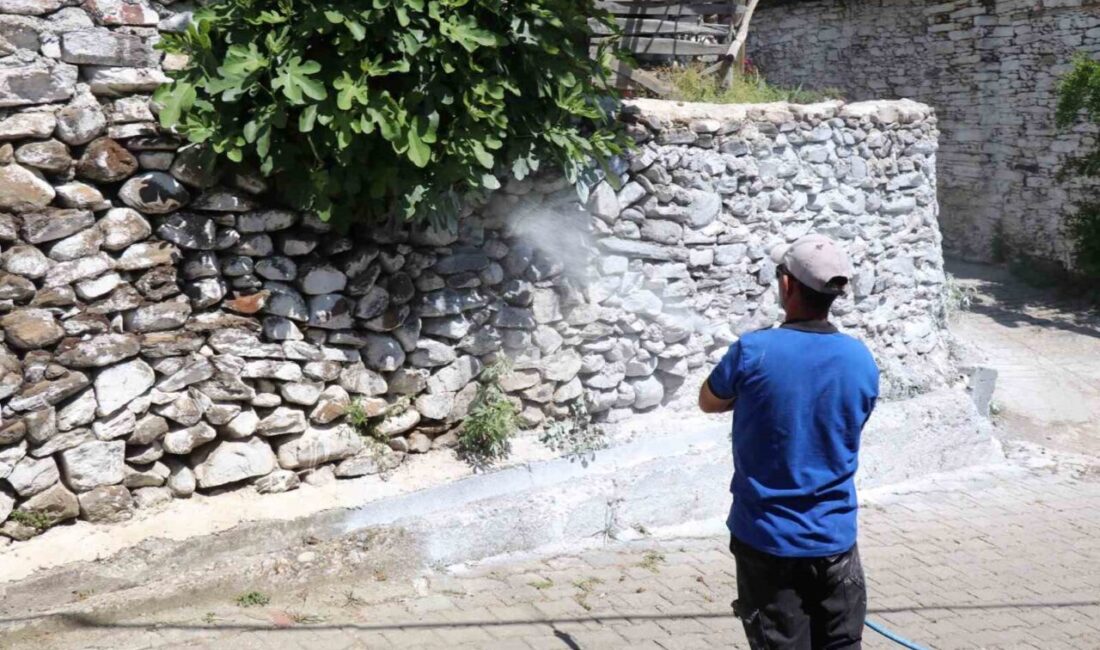 Bozdoğan Belediyesi, yaz aylarında artış gösteren haşere ve böcek sorununa