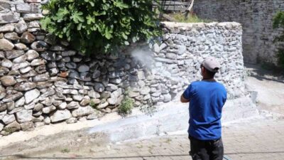 Bozdoğan Belediyesi, yaz aylarında artış gösteren haşere ve böcek sorununa