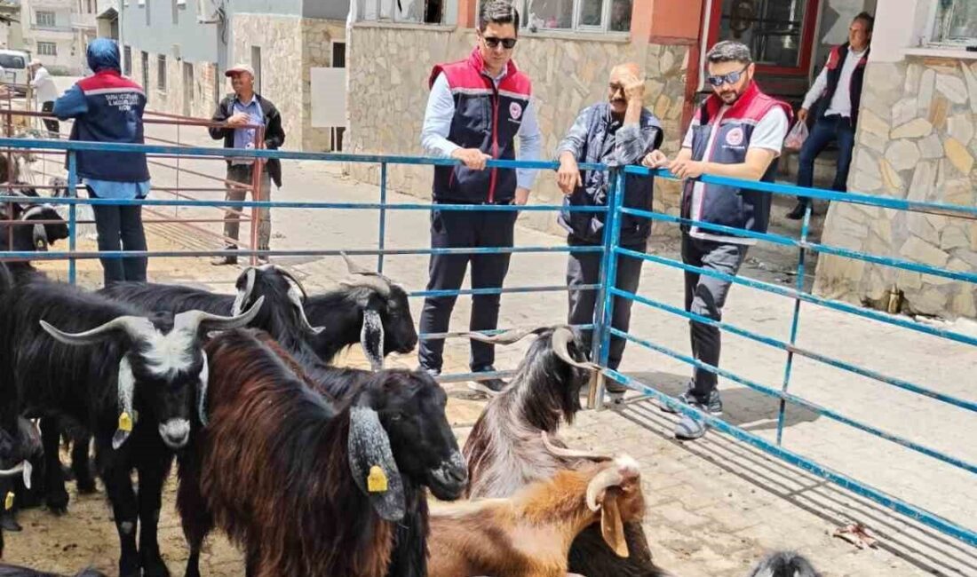 Aydın’ın Bozdoğan ilçesinde yaklaşan Kurban Bayramı öncesinde kurban satış yerlerine