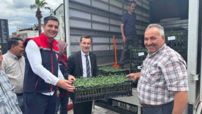 Aydın’ın Bozdoğan ilçesinde Tarım ve Orman Bakanlığı’nın TAKE Projesi kapsamında