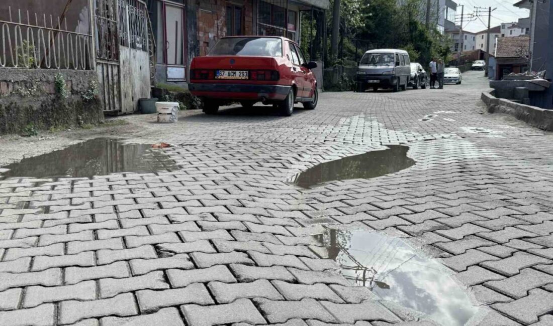 Zonguldak’ta bir vatandaş, dokuz aydır onarılmayan yolda biriken suların okul