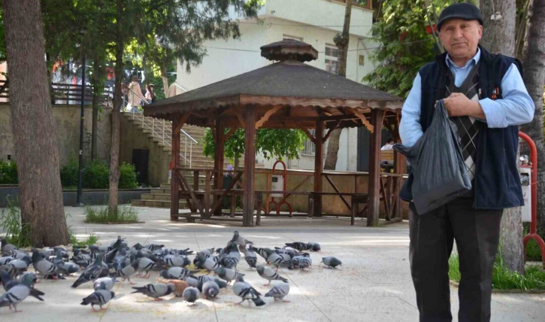 Bilecik’te yaklaşık 2 yıldır Şehitler Parkı’na inen yaklaşık 300 güvercine