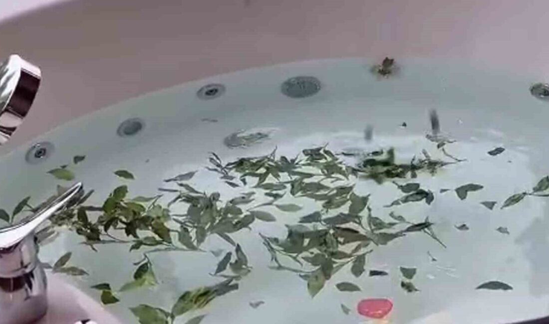 Rize’nin Çamlıhemşin ilçesinde geliştirilen ve çay banyosunu jakuziyle birleştiren “Çaykuzi”