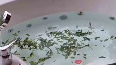 Rize’nin Çamlıhemşin ilçesinde geliştirilen ve çay banyosunu jakuziyle birleştiren “Çaykuzi”